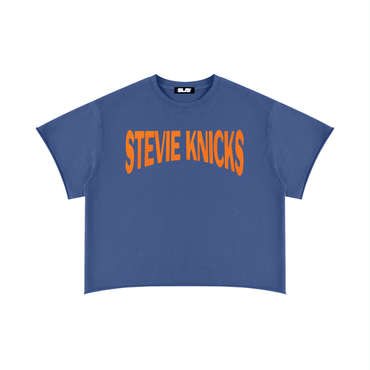 Stevie Knicks Boxy Raw Edge T-Shirt - Slayground